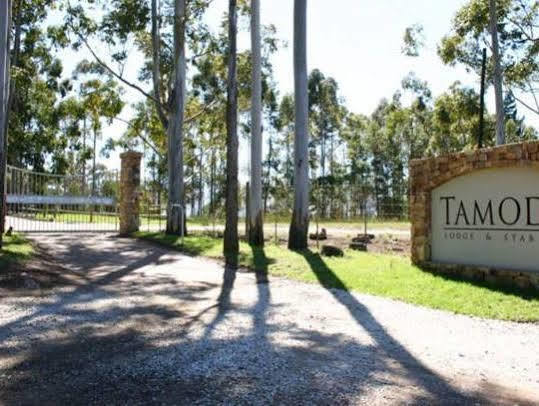 Tamodi Lodge Plettenberg Bay Exterior photo